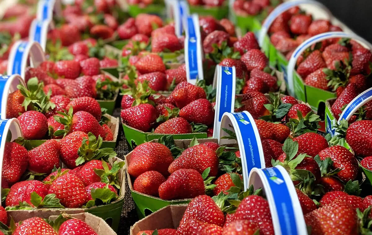Le Grand Marché de Québec