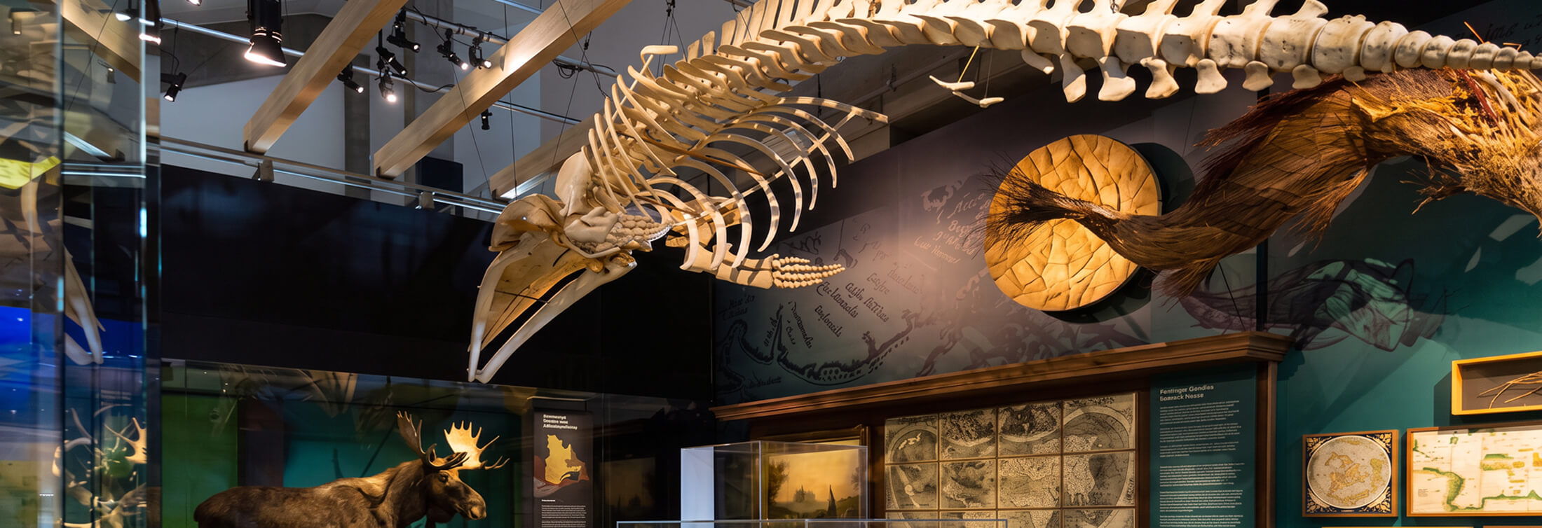 Le Musée de la civilisation