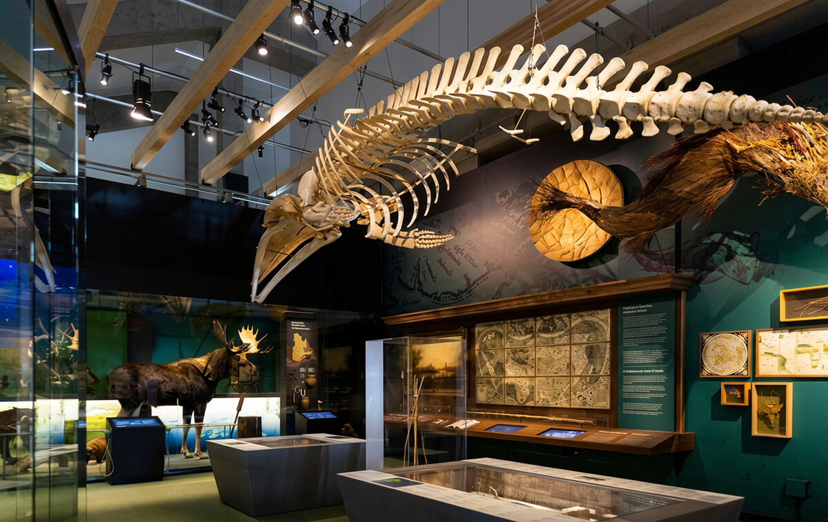 Le Musée de la civilisation